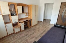 Apartament 3 camere decomandat, 90 mp, parcare, zona Muzeul Apei