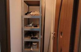 Apartament 3 camere decomandat, 90 mp, parcare, zona Muzeul Apei