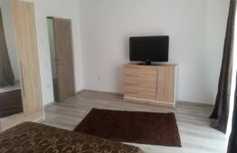 Apartament cu o camera, 42mp, etaj intermediar, zona florilor