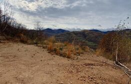 Teren Muntele Rece 700mp Intravilan 