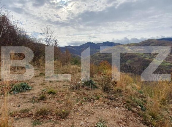 Teren de vânzare Someşu Rece - 141981TV | BLITZ Cluj-Napoca | Poza4