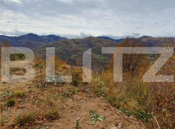 Teren de vânzare Someşu Rece - 141981TV | BLITZ Cluj-Napoca | Poza2