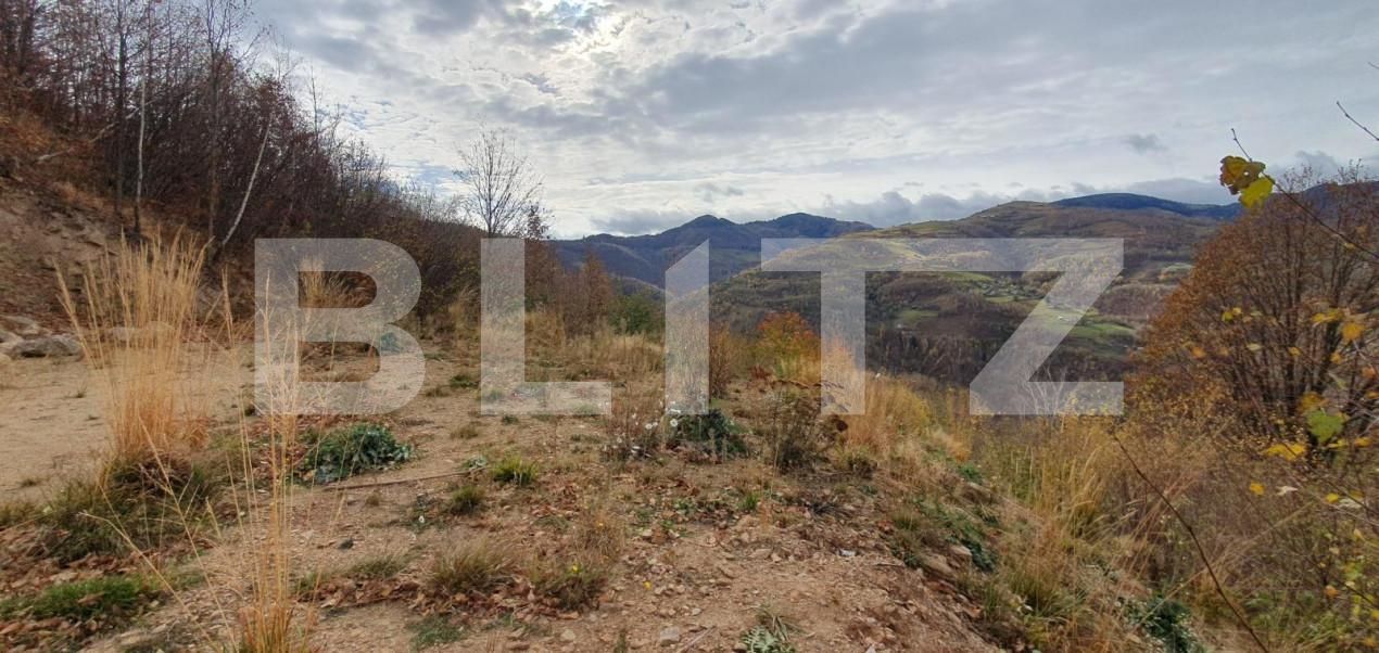 Teren de vânzare Someşu Rece - 141981TV | BLITZ Cluj-Napoca | Poza4