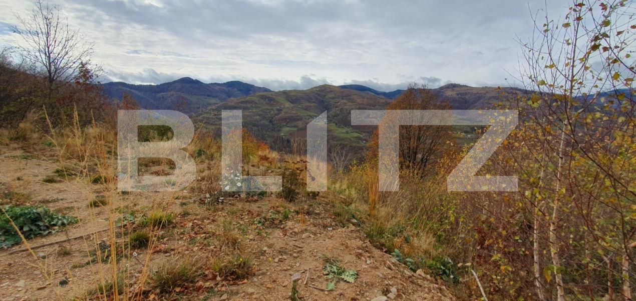 Teren de vânzare Someşu Rece - 141981TV | BLITZ Cluj-Napoca | Poza2