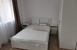 Apartament 2 camere, , Prima inchiriere, Parcare, zona PLATINIA MALL