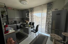 Apartament 2 camere, decomandat, 47 mp, zona Porii