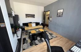 Apartament 2 camere, decomandat, 47 mp, zona Porii