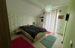 Apartament 3 camere, 65 mp, mobilat/utilat, zona Porii