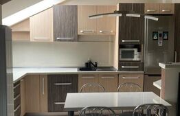 Apartament 2 camere, 54mp, mobilat, utilat, pod 30 mp amenajat, zona Terra 