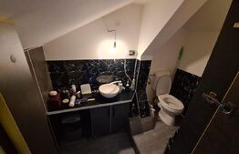 Apartament 2 camere, 54mp, mobilat, utilat, pod 30 mp amenajat, zona Terra 