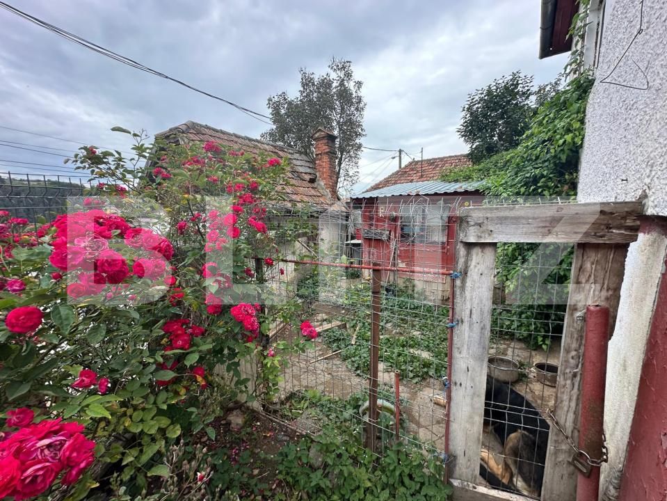 Casa de vânzare 4 camere Schei - 142021CV | BLITZ Brașov | Poza16