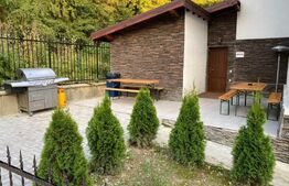 Vila de 12 camere, util 600 mp, teren 1600 mp. in Predeal