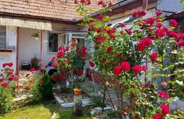 Casa individuala 4 camere 94mp utili, singur in curte, zona Schei