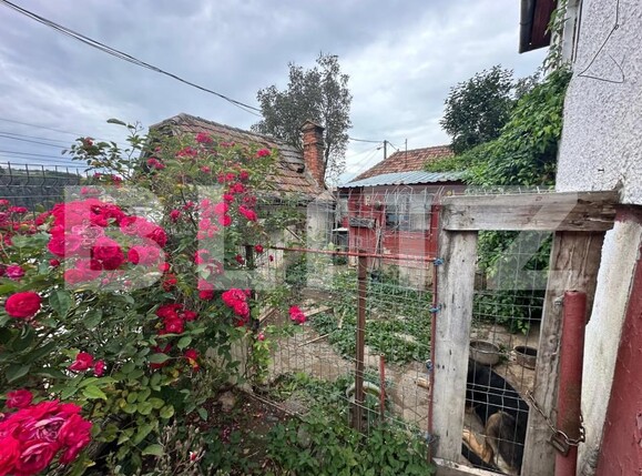 Casa de vânzare 4 camere Schei - 142025CV | BLITZ Brașov | Poza17