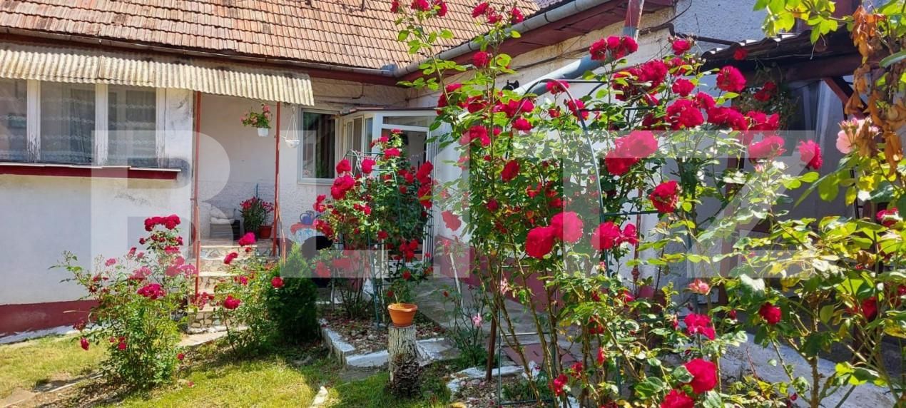 Casa de vânzare 4 camere Schei - 142025CV | BLITZ Brașov | Poza15