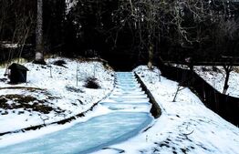 Chalet deosebit în orașul regal, Sinaia! 340 mp utili, 1380 mp teren