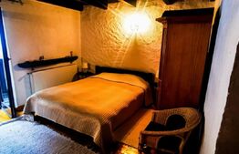 Chalet deosebit în orașul regal, Sinaia! 340 mp utili, 1380 mp teren