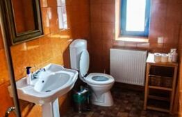 Chalet deosebit în orașul regal, Sinaia! 340 mp utili, 1380 mp teren