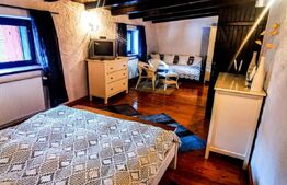 Chalet deosebit în orașul regal, Sinaia! 340 mp utili, 1380 mp teren