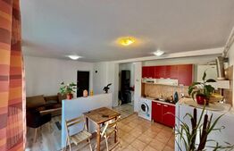 Apartament 2 camere, 43mp, parcare, preluare chiriasi, zona Tineretului