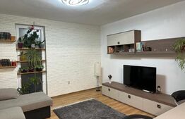 Apartament 2 camere, 49mp terasa 33mp, zona Porii
