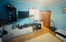 Apartament 2 camere, mobilat si utilat, 53 mp, parcare, zona Porii