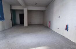 Apartament 2 camere, 53mp, parcare, zona linistita, zona Urusagului