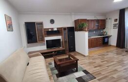 Apartament 2 camere, mobilat si utilat, 48mp, zona Porii