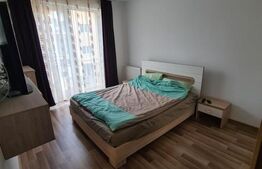 Apartament 2 camere, mobilat si utilat, 48mp, zona Porii