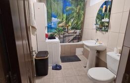 Apartament 2 camere, mobilat si utilat, 48mp, zona Porii