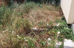 Apartament 3 camere, 110 mp, gradina, parcare, Florilor