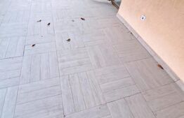 Apartament 6 camere, 3 bai, 144mp, terasa 70 mp, zona Stejarului 