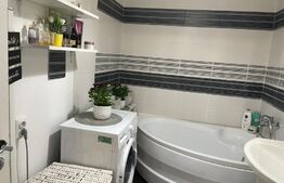 Apartament modern, 2 camere, 50 mp, gradina, zona Porii