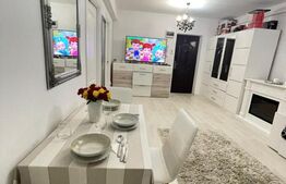 Apartament modern, 2 camere, 50 mp, gradina, zona Porii