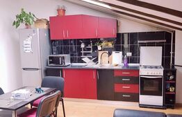 Apartament 2 camere, 50 mp, garaj, terasa, zona centrala Eroilor!