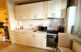 Apartament cochet, 2 camere, 47mp, parcare, zona Sesul de Sus