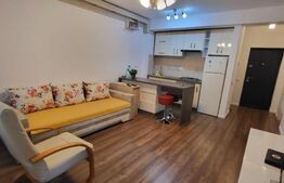 Apartament cochet, 2 camere, 45 mp, etaj 1, zona Subcetate