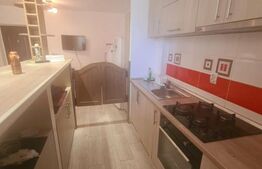 Apartament 2 camere, 48 mp, balcon inchis, zona strazii Porii