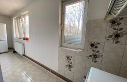 Apartament cu o camera, 40 mp, parter inalt cu balcon, zona Iulius Mall