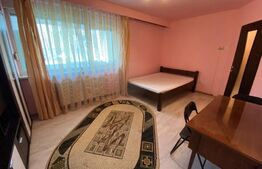 Apartament cu o camera, 40 mp, parter inalt cu balcon, zona Iulius Mall