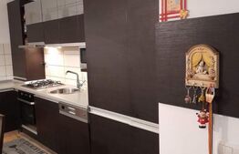 Apartament 2 camere, mobilat si utilat, 49mp, zona Eroilor