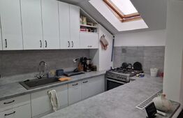 Apartament de 2 camere mobilat, pod 100mp, parcare, zona Terra