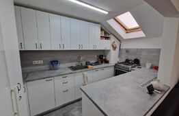 Apartament de 2 camere mobilat, pod 100mp, parcare, zona Terra