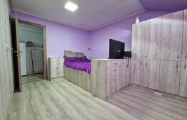 Apartament de 2 camere mobilat, pod 100mp, parcare, zona Terra