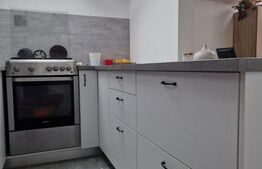 Apartament de 2 camere mobilat, pod 100mp, parcare, zona Terra