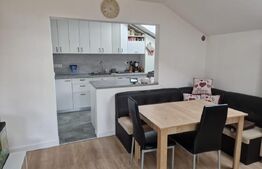 Apartament de 2 camere mobilat, pod 100mp, parcare, zona Terra