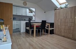 Apartament de 2 camere mobilat, pod 100mp, parcare, zona Terra