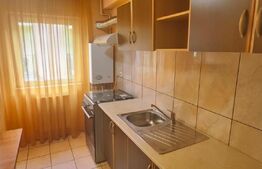 Apartament 1 camera, 40mp, etaj 1, mobilat, zona Avram Iancu