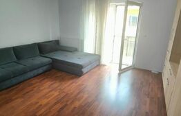 Apartament 1 camera, 40mp, etaj 1, mobilat, zona Avram Iancu