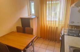 Apartament 1 camera, 40mp, etaj 1, mobilat, zona Avram Iancu
